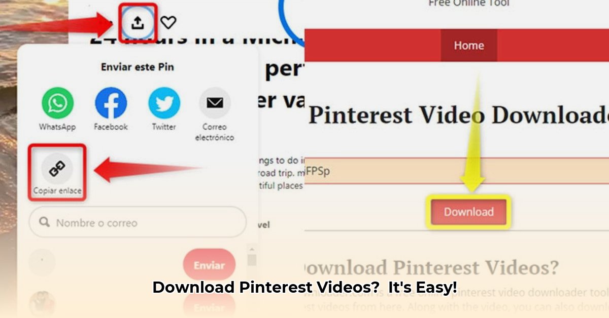 descargar-videos-pinteres